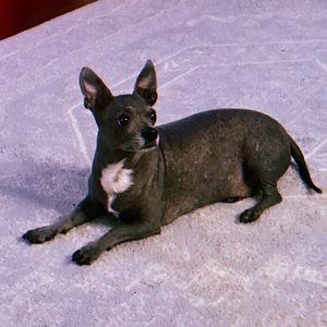 Meet your Posher, Haylee